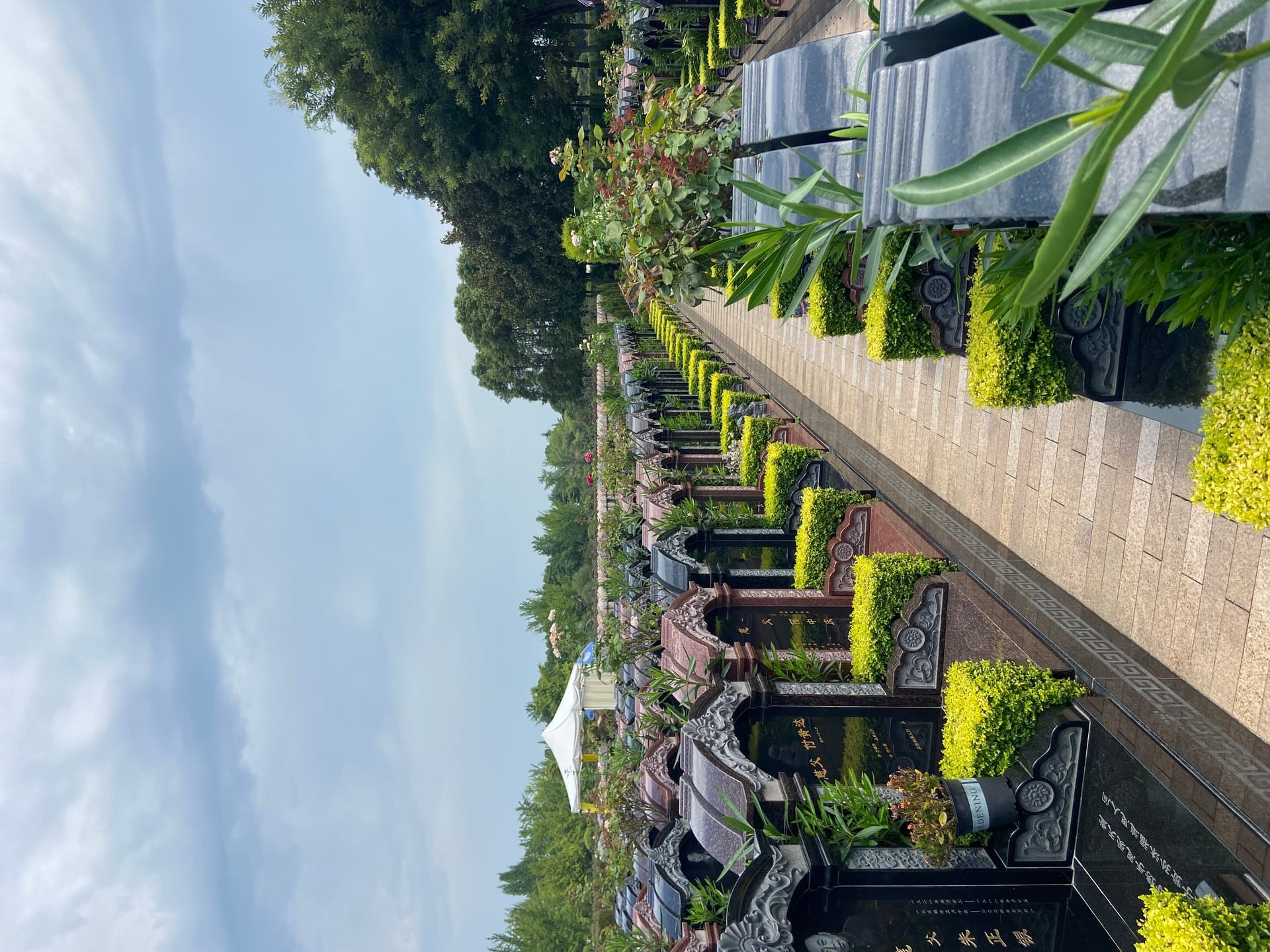 大朗陵园墓型排列