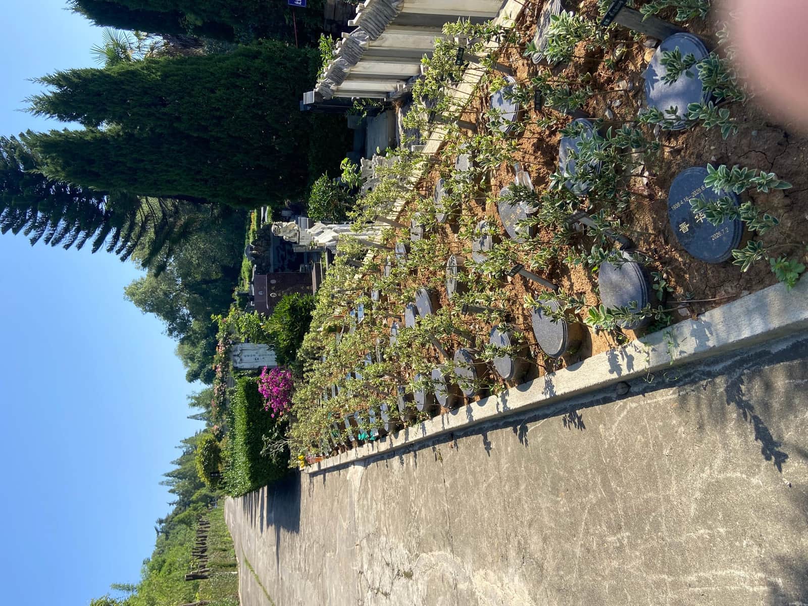 凤凰陵园花坛葬
