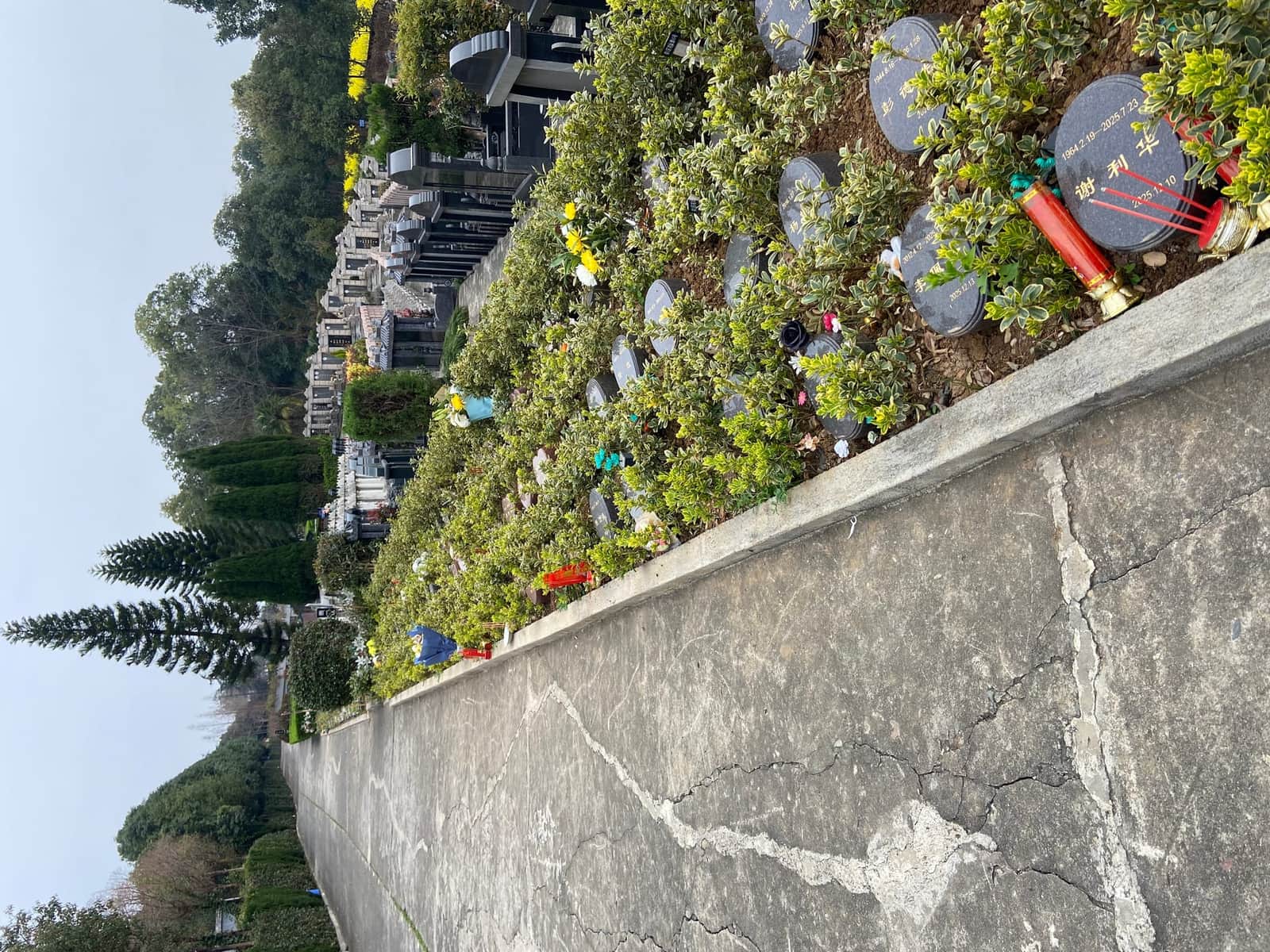 凤凰陵园花坛葬实景