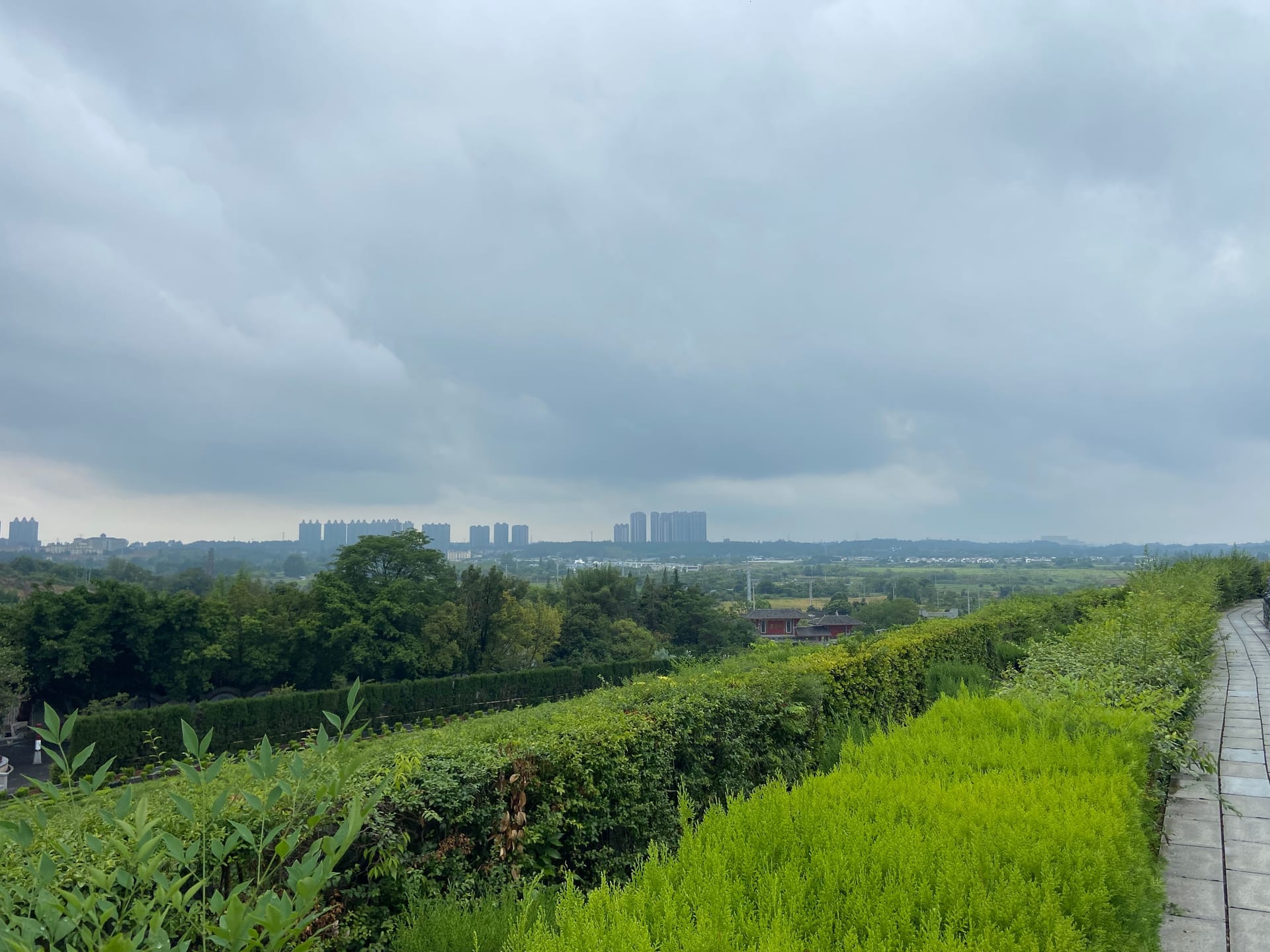 莲花公墓墓区实景